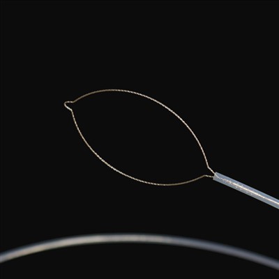 Type Type Type Force Boods