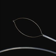 Type Type Type Force Boods